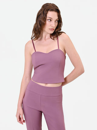 Antique Rose Bustier Crop Top